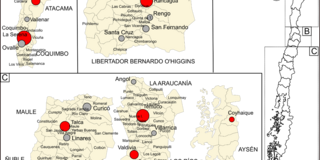 A figure from a paper co-authored by Víctor Cobs-Munoz